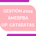 Gestin 2024 AMEBPBA  Operacin de Cataratas