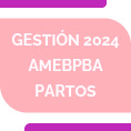 Gestin 2024 AMEBPBA  Partos