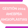 Gestin 2024 AMEBPBA  Angioplastias