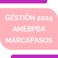 Gestin 2024 AMEBPBA  Marcapasos