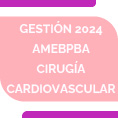 Gestin 2024 AMEBPBA  Cirugas Cardiovasculares